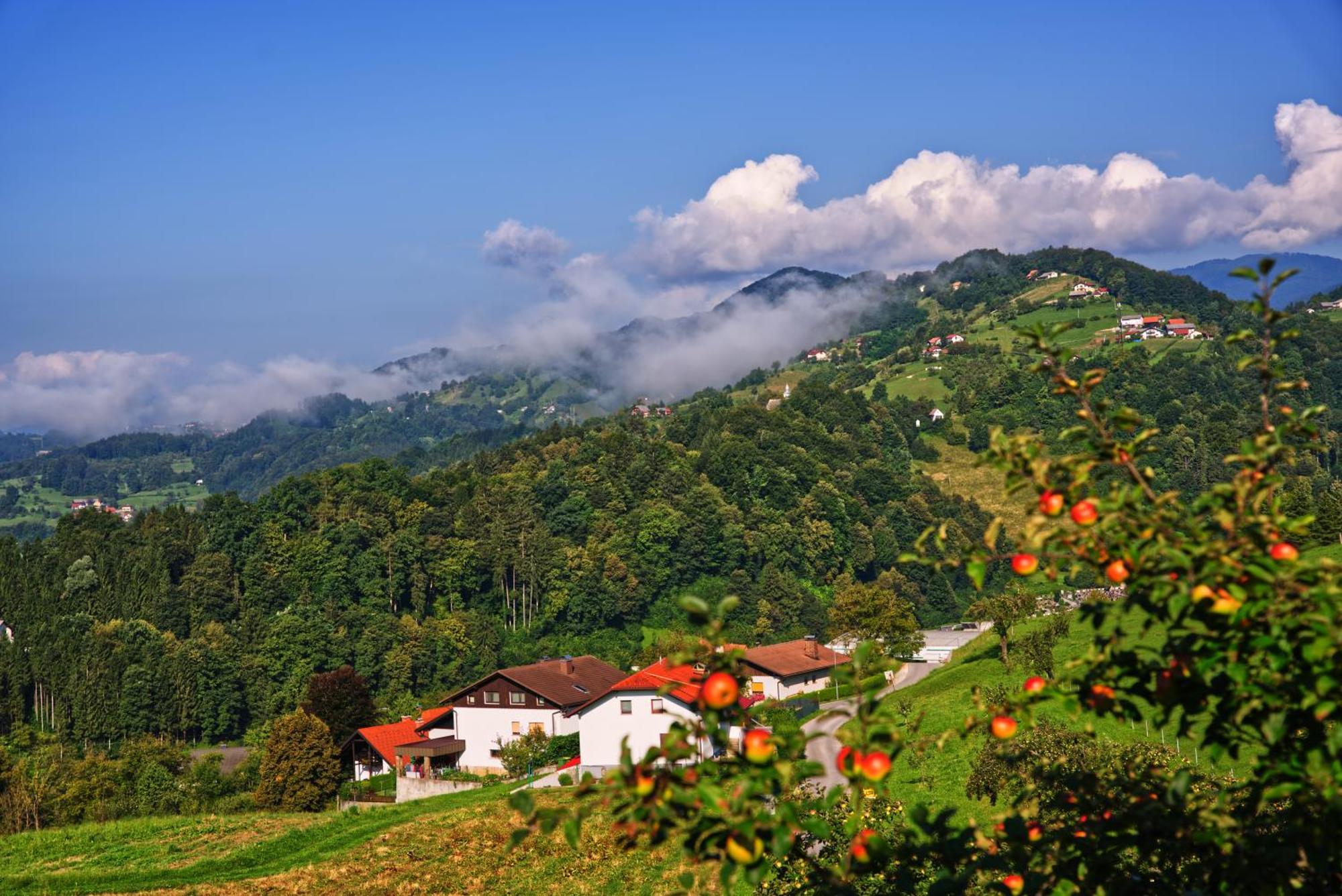 Farm Stay Pirc Lasko Ngoại thất bức ảnh