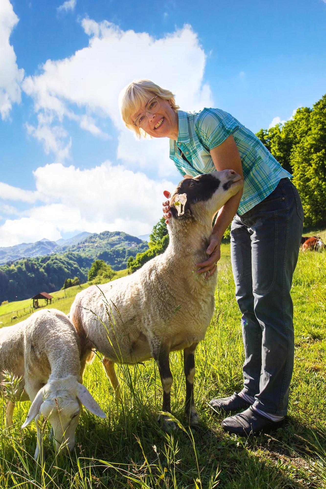 Farm Stay Pirc Lasko Ngoại thất bức ảnh